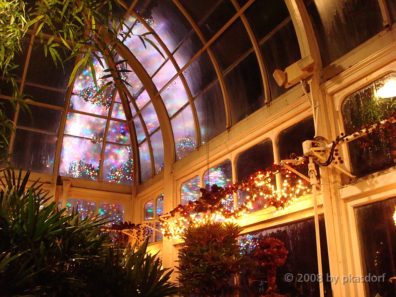 085 Toledo Zoo Light Show [2008 Dec 27].JPG - Scenes from the Toledo Zoo Light Show.